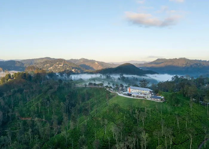 Newburgh Ella - The Tea Factory Resort